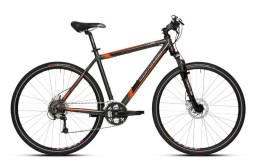 Vélo de ville Cruiser 1000